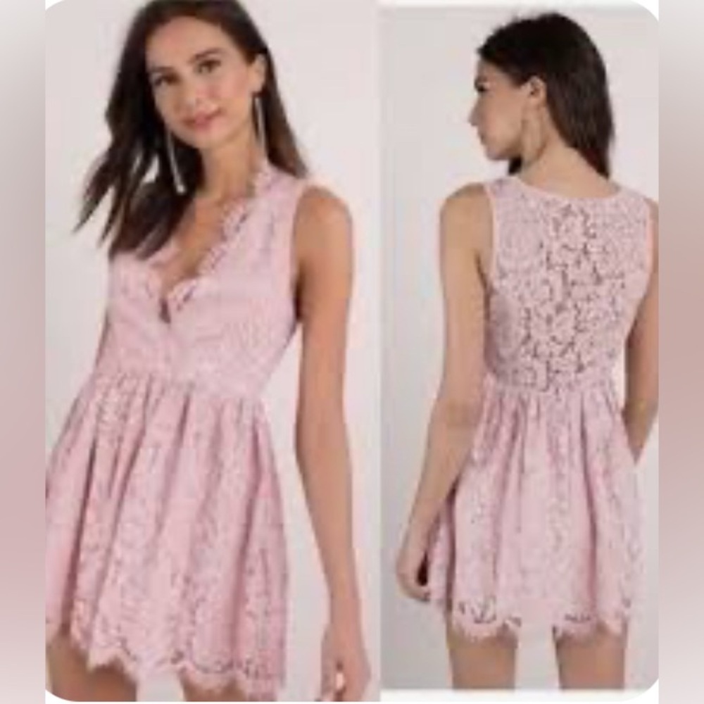 Tobi NWT Lauren Blush Skater Dress